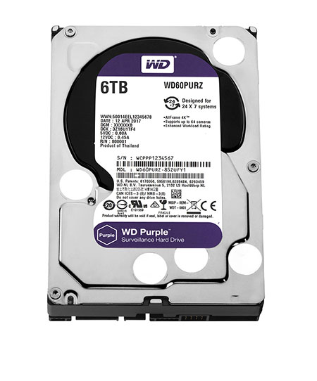Ổ Cứng Western Digital Purple 6TB 64MB Cache (WD60PURZ)