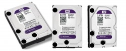 Ổ cứng Western Digital Purple 3TB 64MB Cache