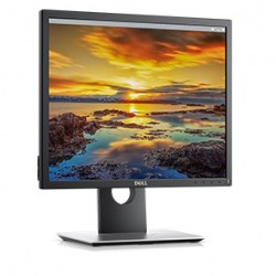 Màn hình máy tính Dell 19" P1917S Led
