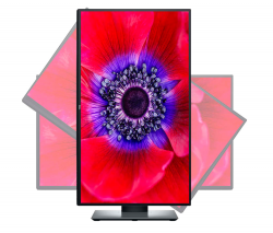 Màn hình máy tính Dell UltraSharp U2520D 25 inch QHD - usb type C