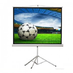 Màn chiếu 3 chân Dalite P50TS 70'' (1m25 x 1m25)