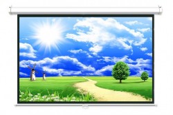 Màn chiếu treo tường Dalite PLW150WS