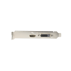 VGA Gigabyte GT 1030 Low Profile D4 2G (GV-N1030D4-2GL)