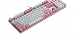 Bàn phím Rapoo V500 Pro Pink White Red switch