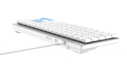 Bàn phím cơ DareU EK868 Bluetooth White Red switch