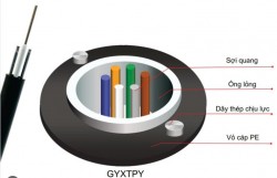 Cáp quang 4Fo ống lỏng 