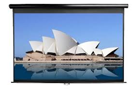 Màn chiếu treo tường Regent 136''