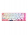 Bàn phím cơ AKKO 3068B Plus Multi-modes World Tour Tokyo R2 Akko CS Jelly Pink switch