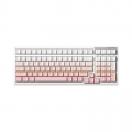 Bàn phím cơ FL-Esports FL100 CPM Gradient Wireless FLCMMK Ice Pink switch