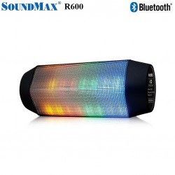 Loa di động không dây bluetooth SoundMax R-600