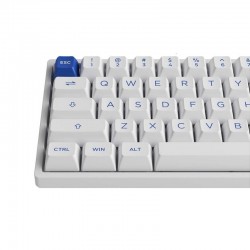 Bàn phím cơ AKKO 3068B Plus Multi-modes Blue on White Akko CS Jelly Pink switch