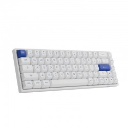 Bàn phím cơ AKKO 3068B Plus Multi-modes Blue on White Akko CS Jelly Pink switch