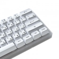 Bàn phím cơ AKKO ACR61 White AKKO CS Jelly White switch