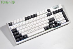 Bàn phím cơ Fuhlen H95S Panda 3 Mode Wireless Fuhlen Silver Pro switch
