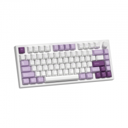 Bàn phím cơ FL-Esports GP75 CPM Taro Purple 3 Mode Kailh Box V2 Brown switch