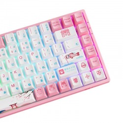 Bàn phím cơ AKKO 3084B Plus Wireless World Tour Tokyo R2 Akko CS Jelly Pink switch