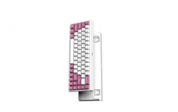 Bàn phím cơ FL-Esports FL680SAM Peach Wireless Gateron Cap Silver switch