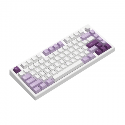 Bàn phím cơ FL-Esports GP75 CPM Taro Purple 3 Mode TTC Venus switch