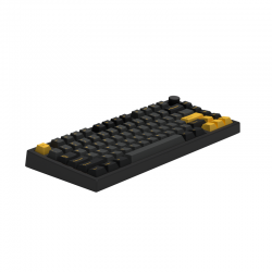 Bàn phím cơ FL-Esports GP75 CPM Polar Night 3 Mode TTC Neptune switch