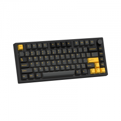 Bàn phím cơ FL-Esports GP75 CPM Polar Night 3 Mode TTC Venus switch